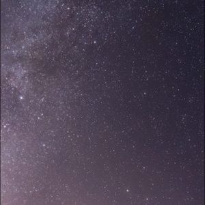 Meet your Posher, Sally